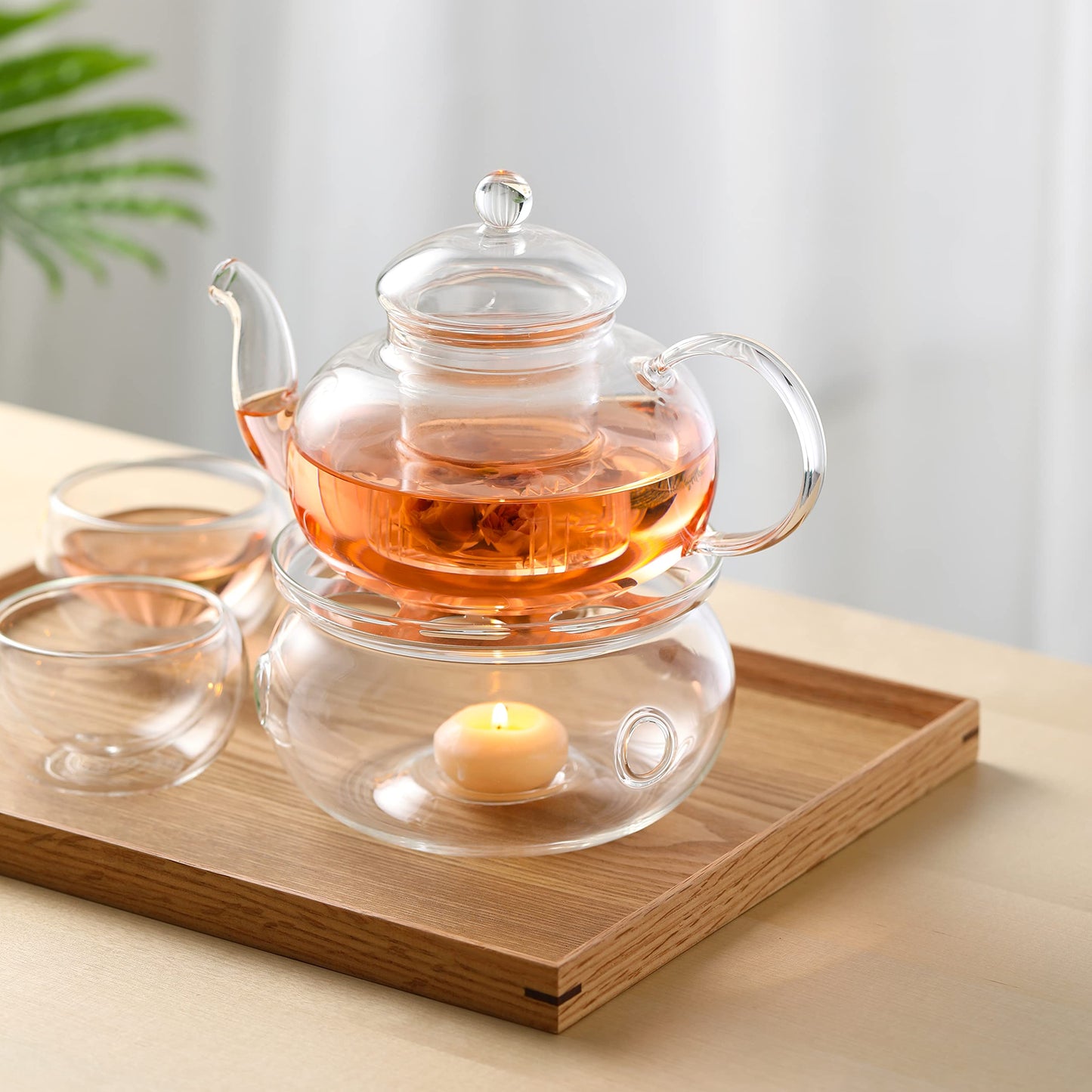 CNGLASS Glass Teapot Stovetop Safe,Clear Teapot with Removable Infuser 20.3 oz,Loose Leaf and Blooming Tea Maker